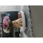 Image 4 of customer photos