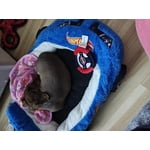 Image 3 of customer photos