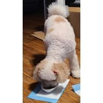 Image 5 of customer photos