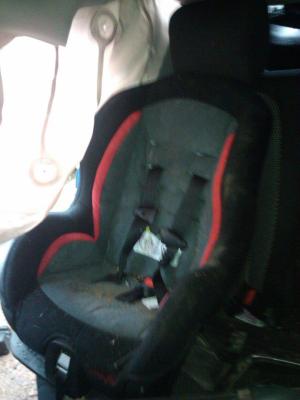 Evenflo Tribute Sport Convertible Car Seat Maxwell