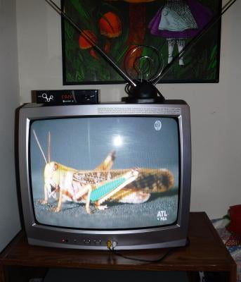 Universal Indoor Rabbit Ear TV Antenna for HDTV Ready VHF UHF Dual Loop Coaxial