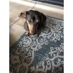 Image 3 of customer photos