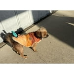 Image 6 of customer photos