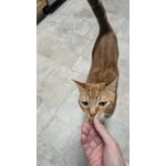 Image 3 of customer photos