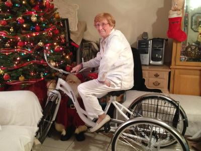 kent alameda folding trike