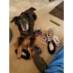 Image 5 of customer photos