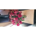 Image 5 of customer photos