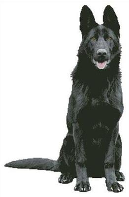 purina one large breed walmart