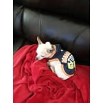 Image 5 of customer photos