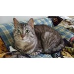 Image 7 of customer photos