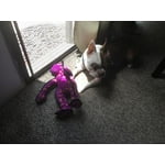 Image 3 of customer photos