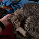 Image 6 of customer photos