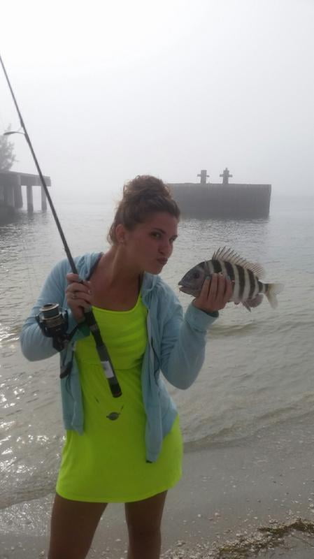 ugly stik gx2 casting rod walmart