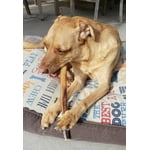 Image 5 of customer photos