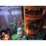 Image 5 of customer photos