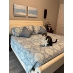 Image 2 of customer photos
