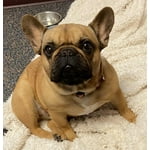 Image 6 of customer photos