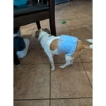 Image 7 of customer photos