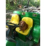 Image 1 of customer photos