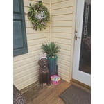 Image 1 of customer photos