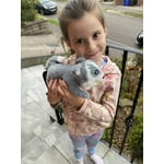 Image 6 of customer photos