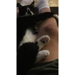 Image 6 of customer photos