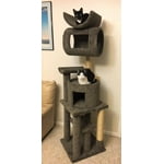 Image 6 of customer photos