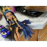 Image 5 of customer photos