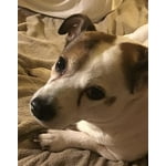 Image 5 of customer photos