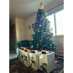 Image 5 of customer photos