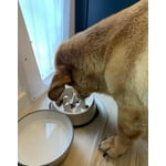 Image 4 of customer photos