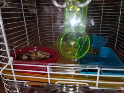 yml hamster cage