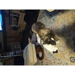 Image 2 of customer photos