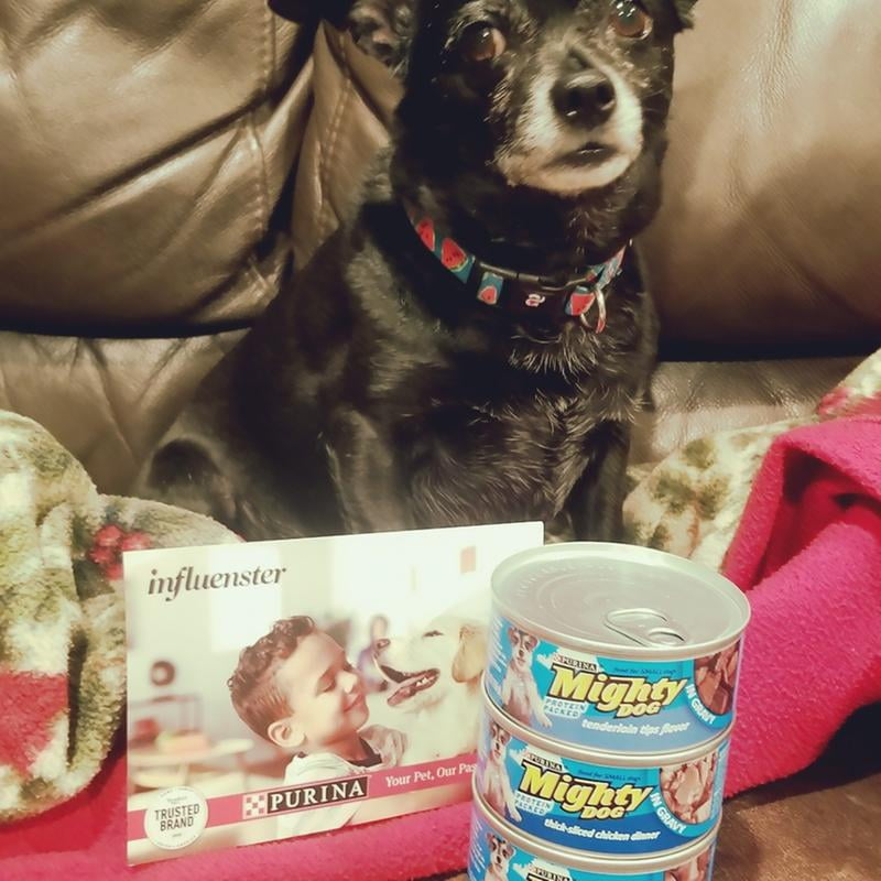 Customer reviews for 12 Pack Purina Mighty Dog Gravy Wet Dog Food Variety Pack Thick Sliced Chicken Beef Tenderloin Tips 5.5 oz. Cans Walmart