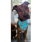 Image 7 of customer photos