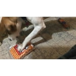 Image 5 of customer photos