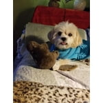 Image 2 of customer photos