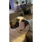 Image 5 of customer photos