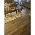 Image 7 of customer photos