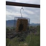 Image 5 of customer photos