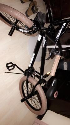 Mongoose wildcard 20 2025