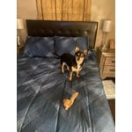 Image 4 of customer photos