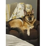 Image 2 of customer photos