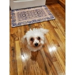 Image 5 of customer photos