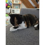 Image 5 of customer photos