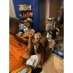 Image 3 of customer photos