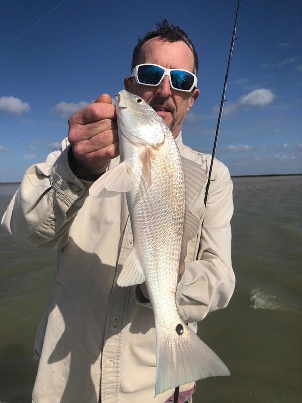 penn pursuit 3 le combo