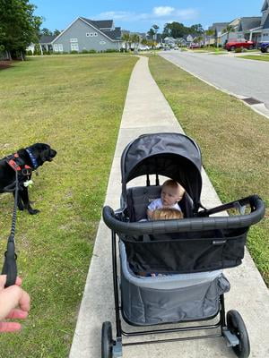 Customer reviews for Baby Trend Tour LTE 2-in-1 Stroller Wagon - Desert Grey  | Walmart.com