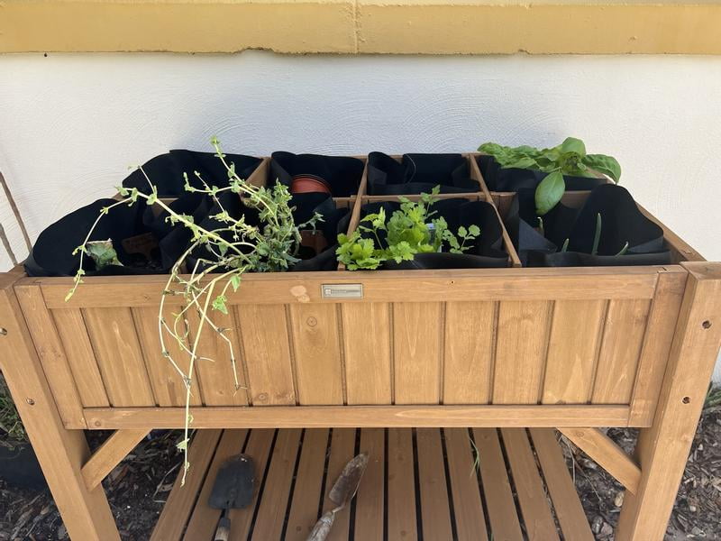 Best Choice Products Raised Mobile Herb Garden Bed Planter w