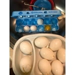 Image 2 of customer photos